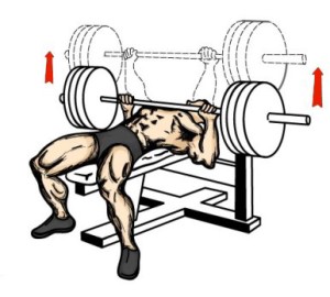 Bench Press