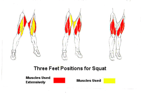 squat muscle activation