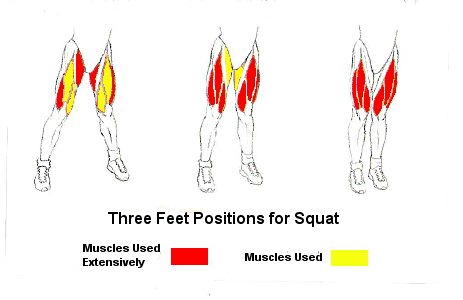 Anatomy of the Powerlifting Squat - Temple of Iron