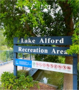 Lake Alford Duck Ponds Gympie